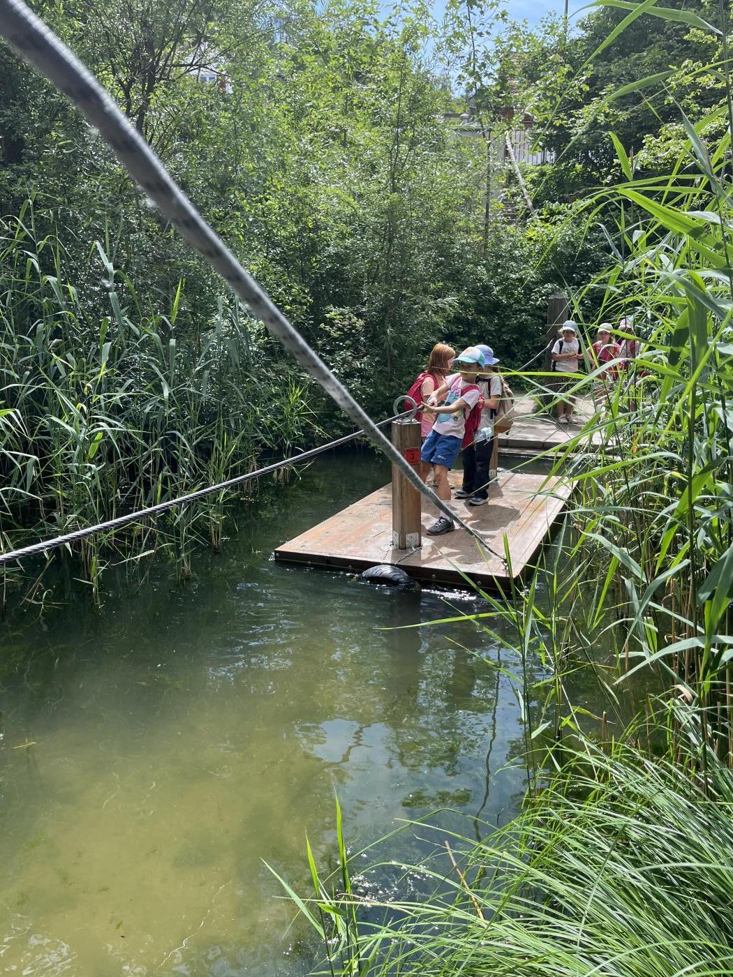 Schulausflug