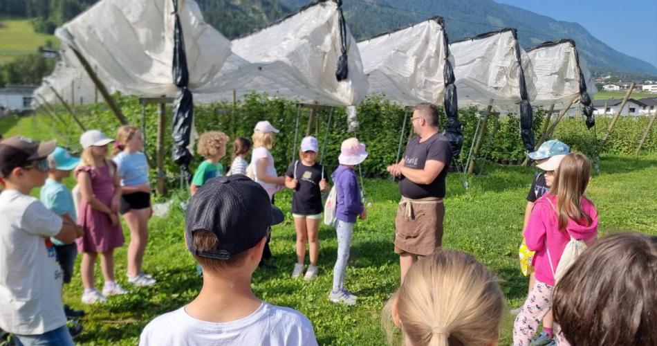 Mairs Beerengarten
